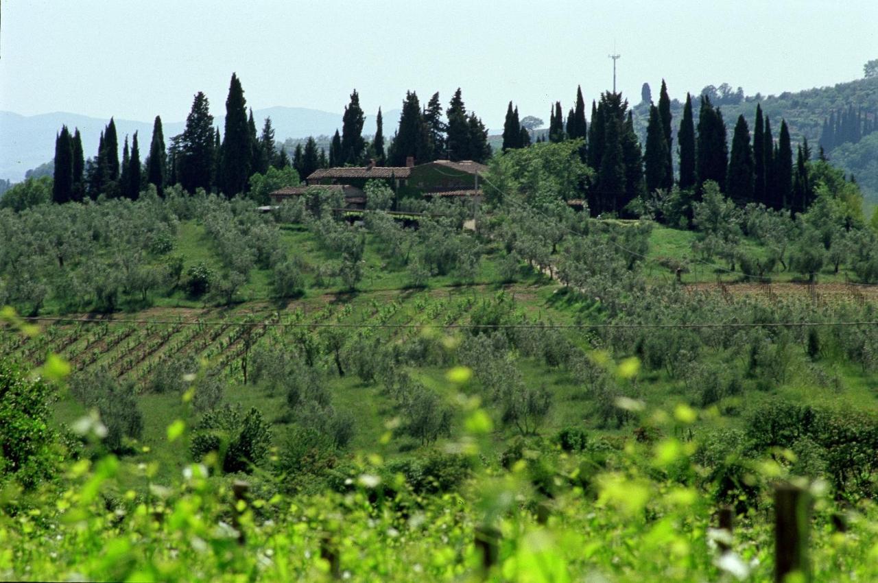 Fattoria Casa Sola Hostal Barberino di Val dʼElsa Exterior foto