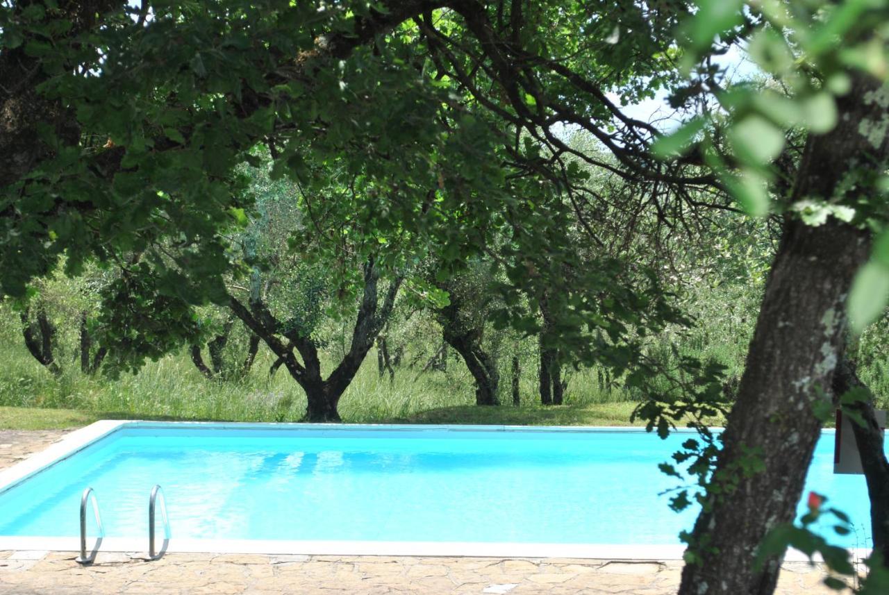 Fattoria Casa Sola Hostal Barberino di Val dʼElsa Exterior foto