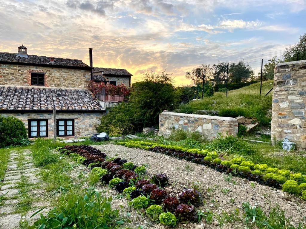 Fattoria Casa Sola Hostal Barberino di Val dʼElsa Exterior foto