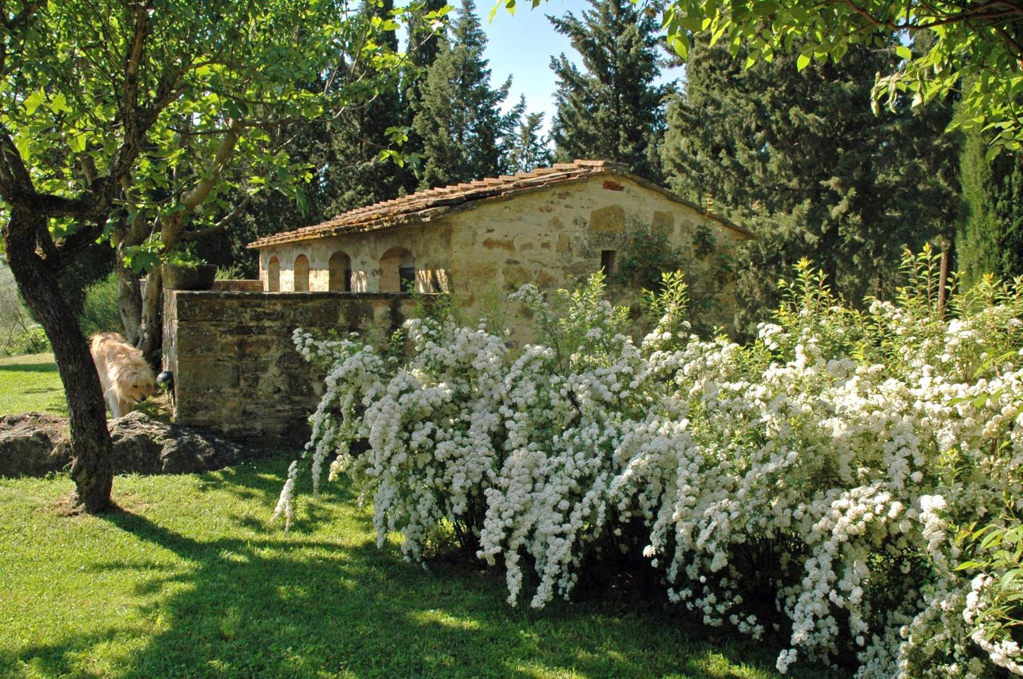 Fattoria Casa Sola Hostal Barberino di Val dʼElsa Habitación foto