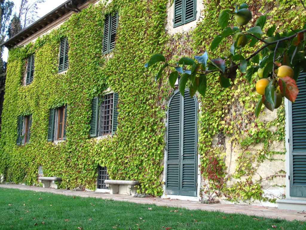 Fattoria Casa Sola Hostal Barberino di Val dʼElsa Exterior foto